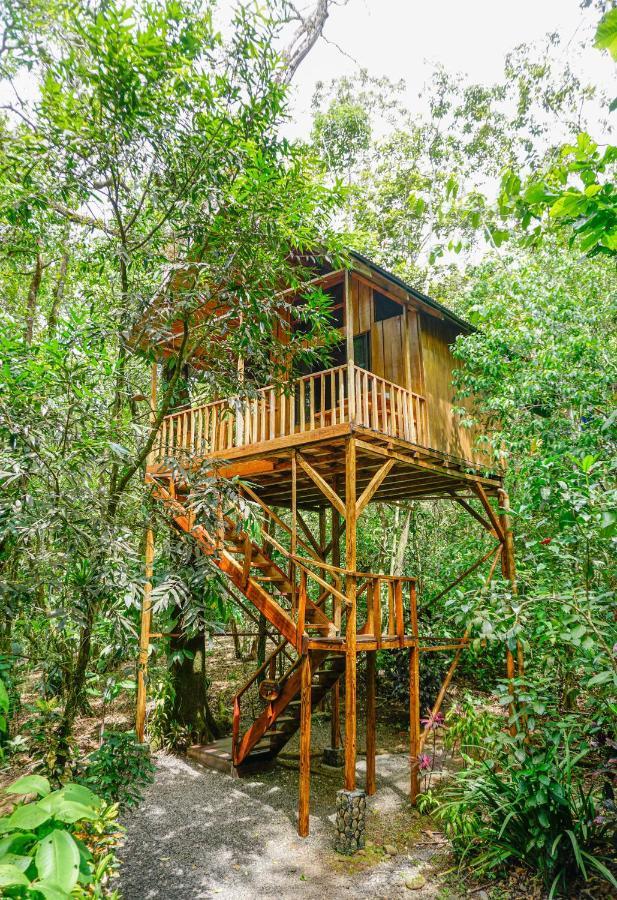 Tree Houses Hotel Costa Rica Florencia Eksteriør billede
