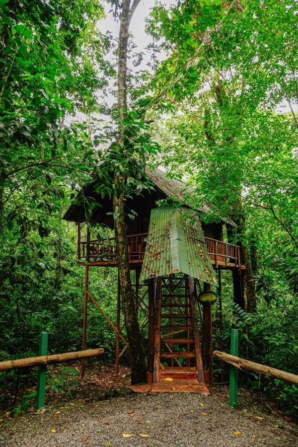 Tree Houses Hotel Costa Rica Florencia Eksteriør billede