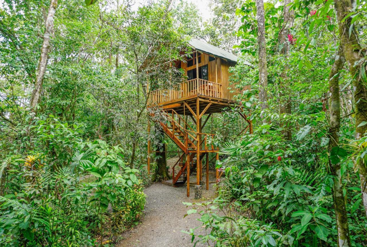 Tree Houses Hotel Costa Rica Florencia Eksteriør billede
