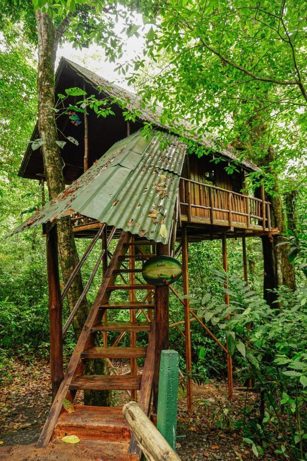 Tree Houses Hotel Costa Rica Florencia Eksteriør billede