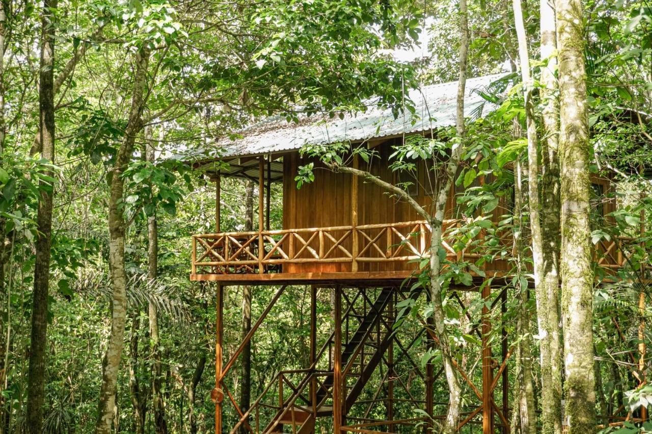 Tree Houses Hotel Costa Rica Florencia Eksteriør billede