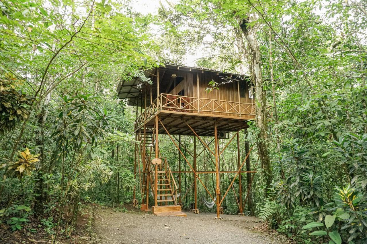 Tree Houses Hotel Costa Rica Florencia Eksteriør billede