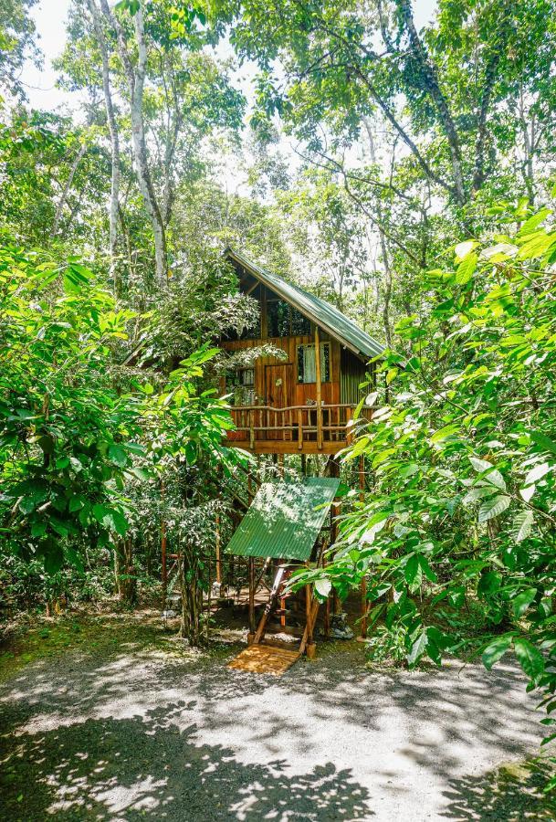 Tree Houses Hotel Costa Rica Florencia Eksteriør billede