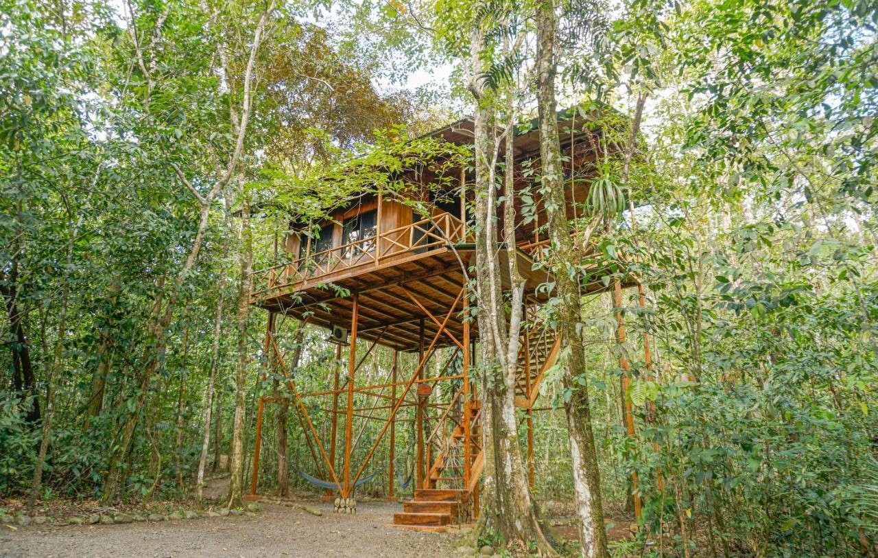 Tree Houses Hotel Costa Rica Florencia Eksteriør billede