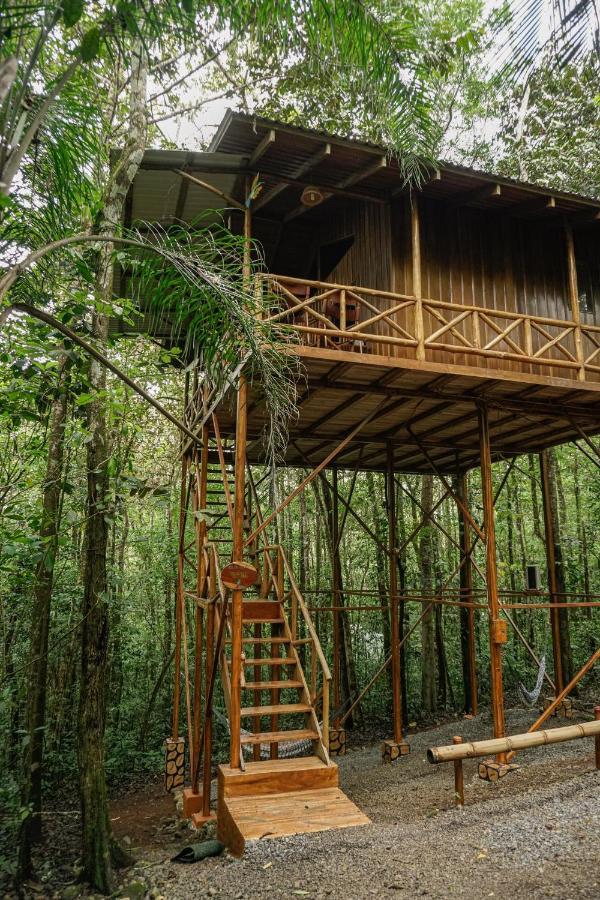 Tree Houses Hotel Costa Rica Florencia Eksteriør billede