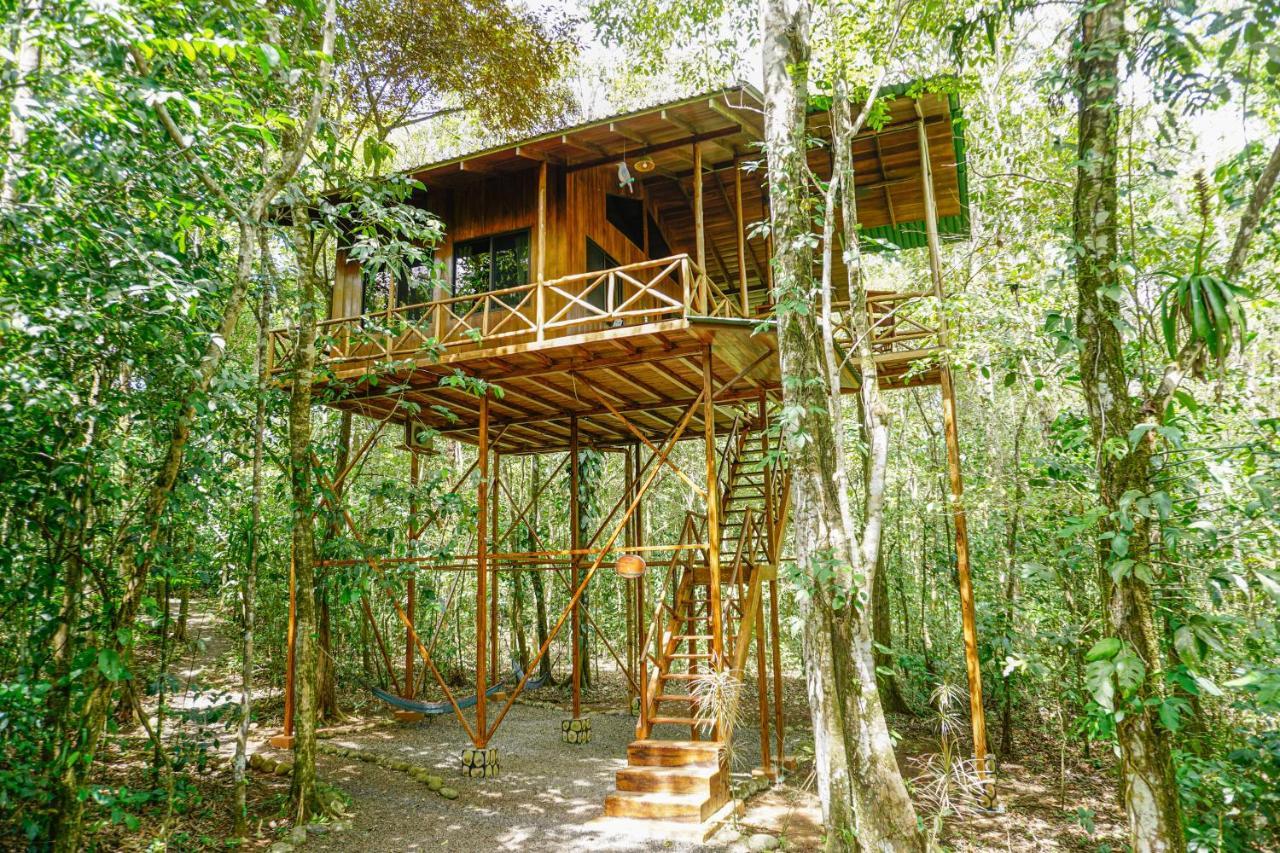Tree Houses Hotel Costa Rica Florencia Eksteriør billede