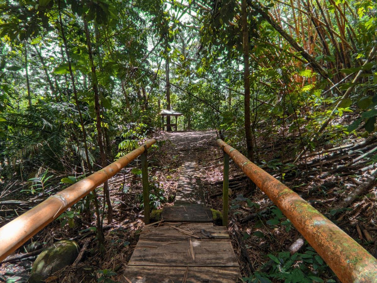 Tree Houses Hotel Costa Rica Florencia Eksteriør billede